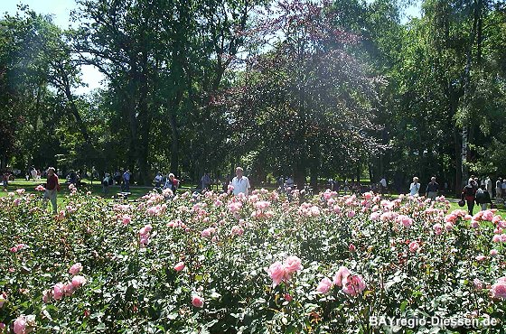 Park in Dießen